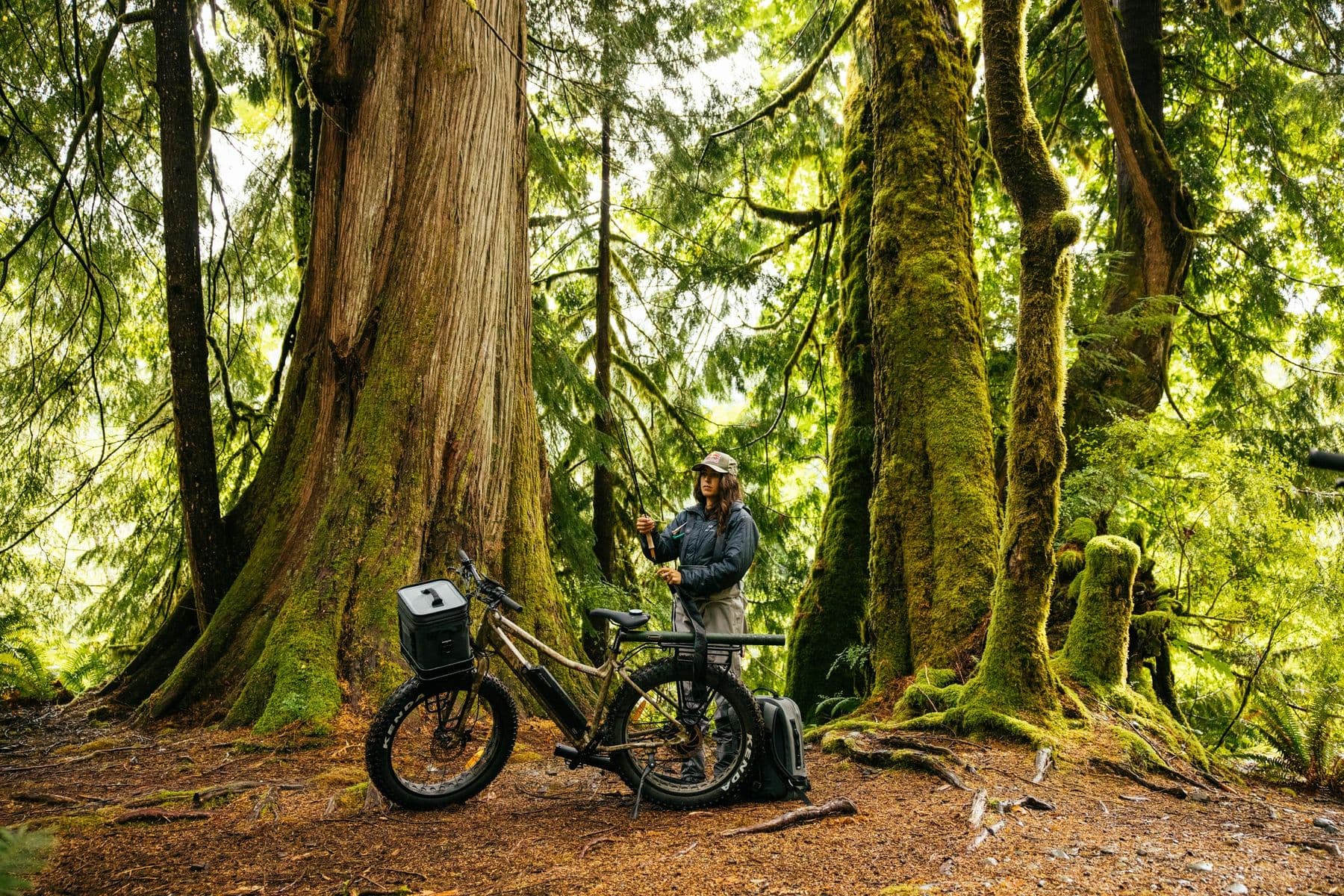 Angler with a Surface 604 fat-tire bike deep in an old-growth forest