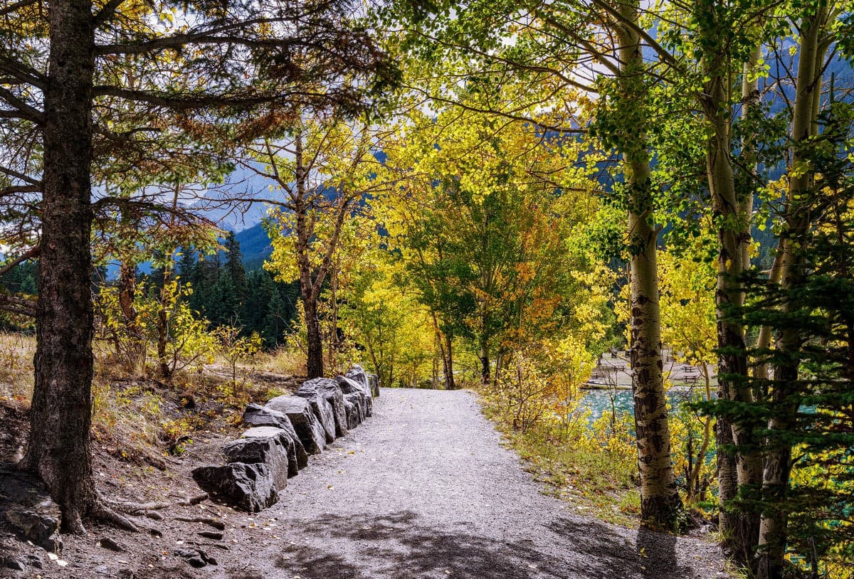 Best eBikes to Ride the 1A from Canmore to Banff