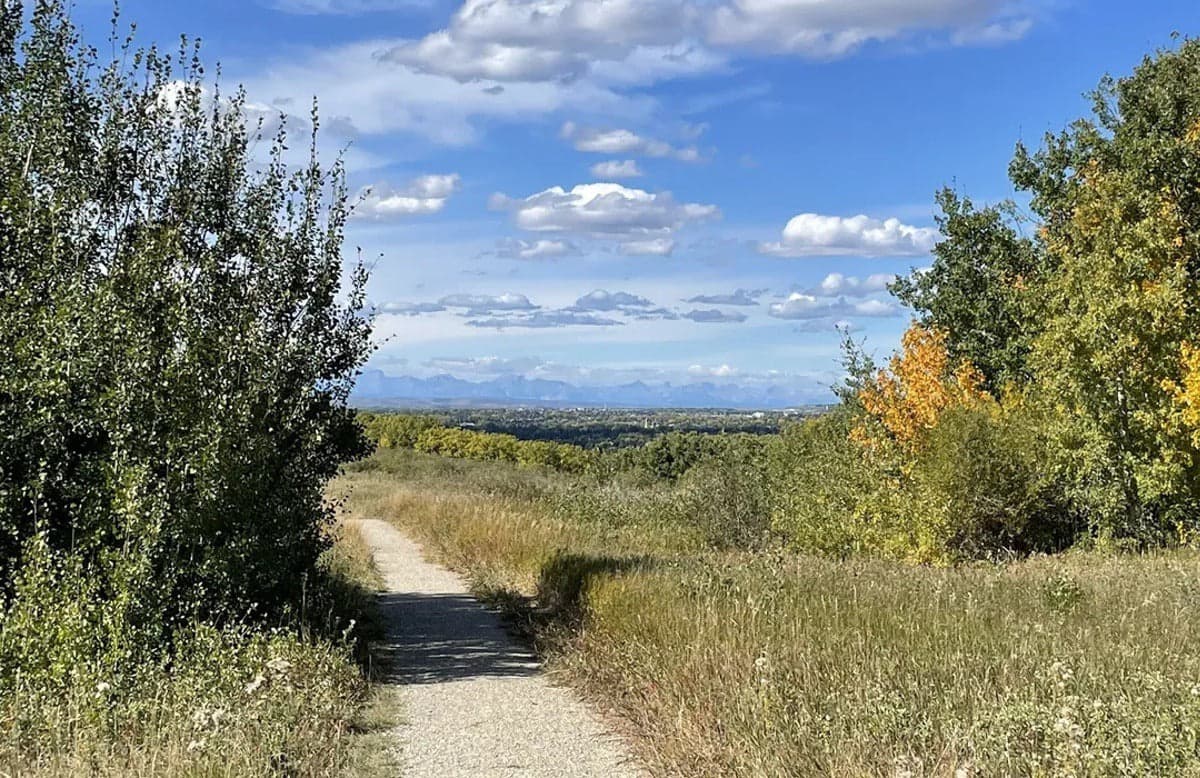 The Best Nose Hill Park Bike Trails